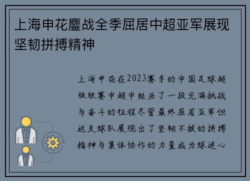 上海申花鏖战全季屈居中超亚军展现坚韧拼搏精神 上海申花鏖战全季屈居中超亚军展现坚韧拼搏精神