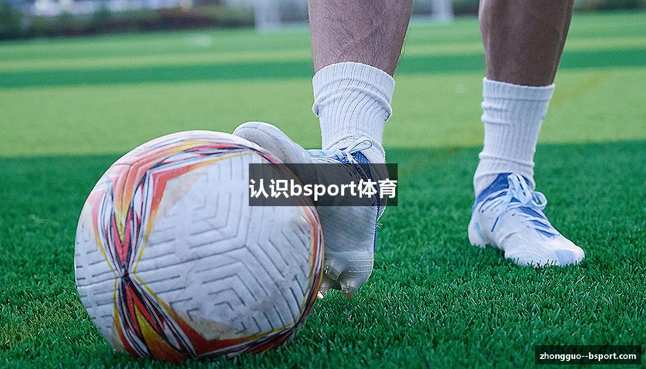 认识bsport体育